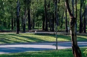 EXCLUSIVO TERRENO EN NUEVO MALAGUEÑO 2
