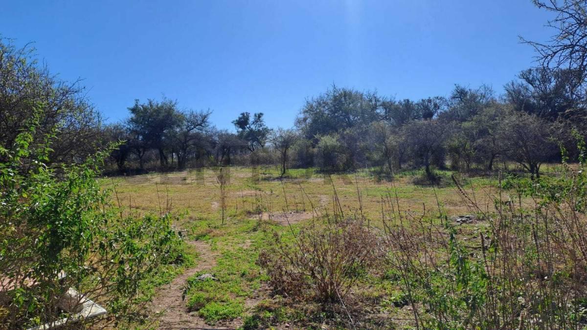 Foto de Venta LOTEO 7500 USD c/d- SALSIPUEDES, imagen 4