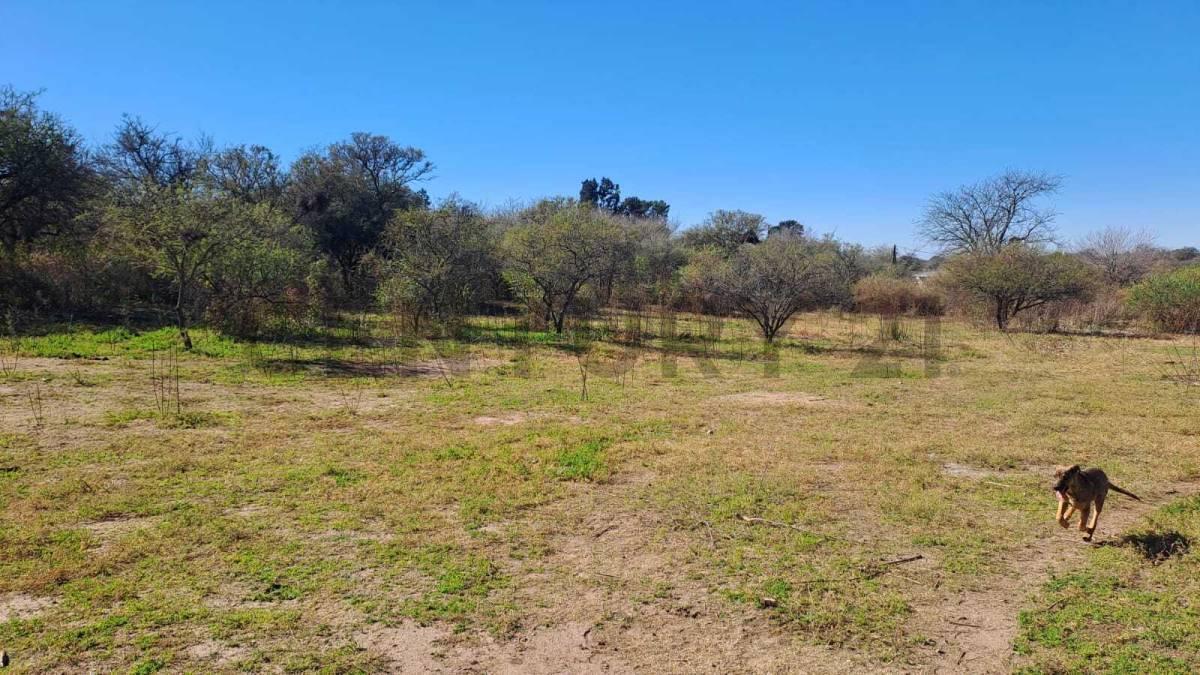 Foto de Venta LOTEO 7500 USD c/d- SALSIPUEDES, imagen 3