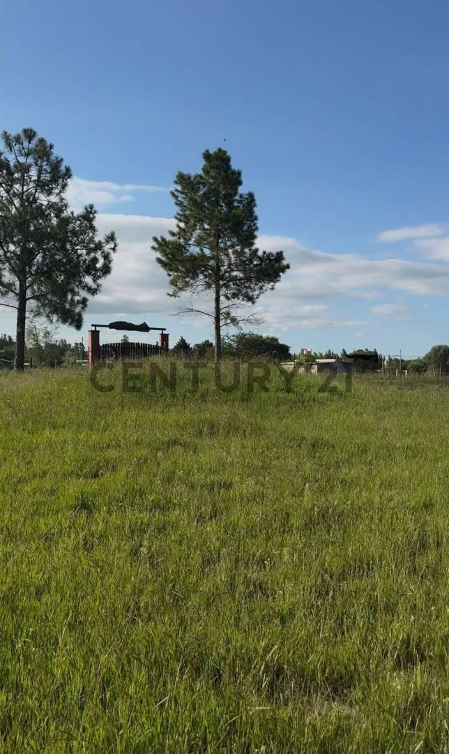 Foto de VENTA LOTE 1200M2 ANISACATE, imagen 3