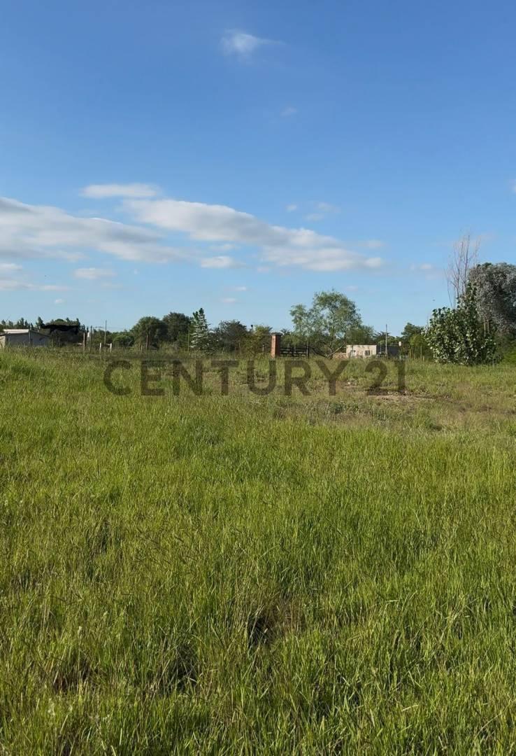 Foto de VENTA LOTE 1200M2 ANISACATE, imagen 1