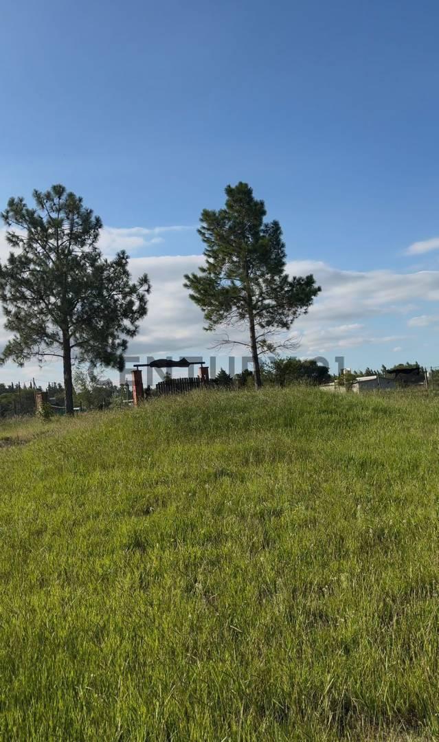 VENTA LOTE 1200M2  ANISACATE