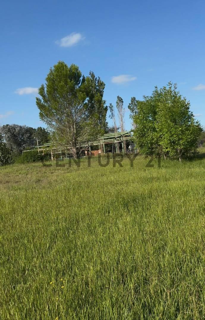 Foto de VENTA LOTE 1200M2 ANISACATE, imagen 4