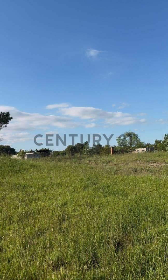 Foto de VENTA LOTE 1200M2 ANISACATE, imagen 5