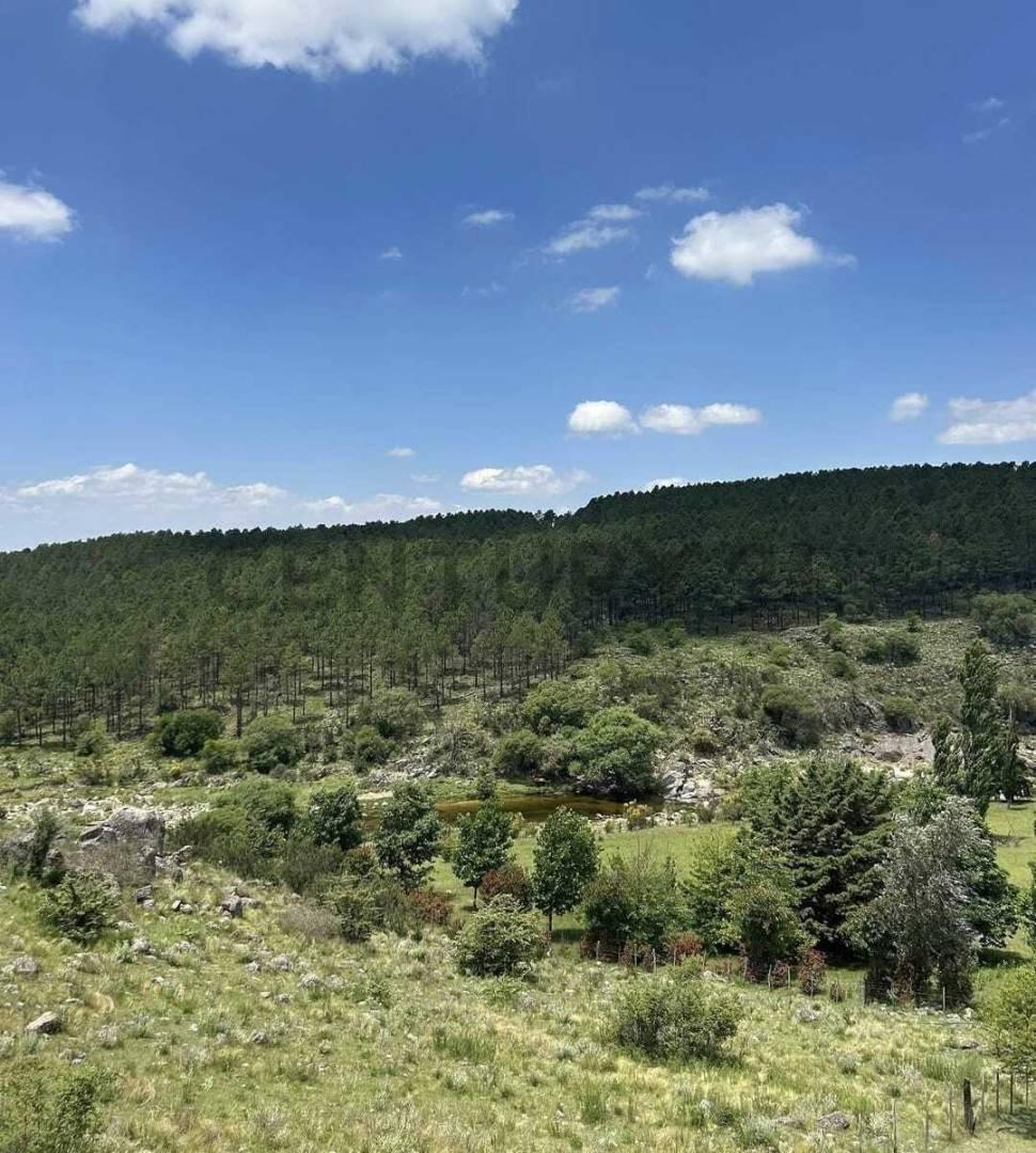 Foto de VENTA CAMPO DE 20.000 M² EN LOMA ALTA POTRERO DE GARAY ENTORNO DEL RÍO, imagen 3