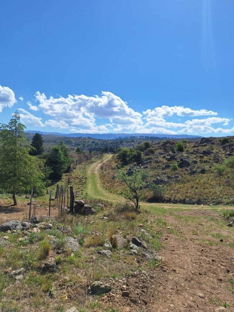 Foto de VENTA CAMPO DE 20.000 M² EN LOMA ALTA POTRERO DE GARAY ENTORNO DEL RÍO, imagen 4