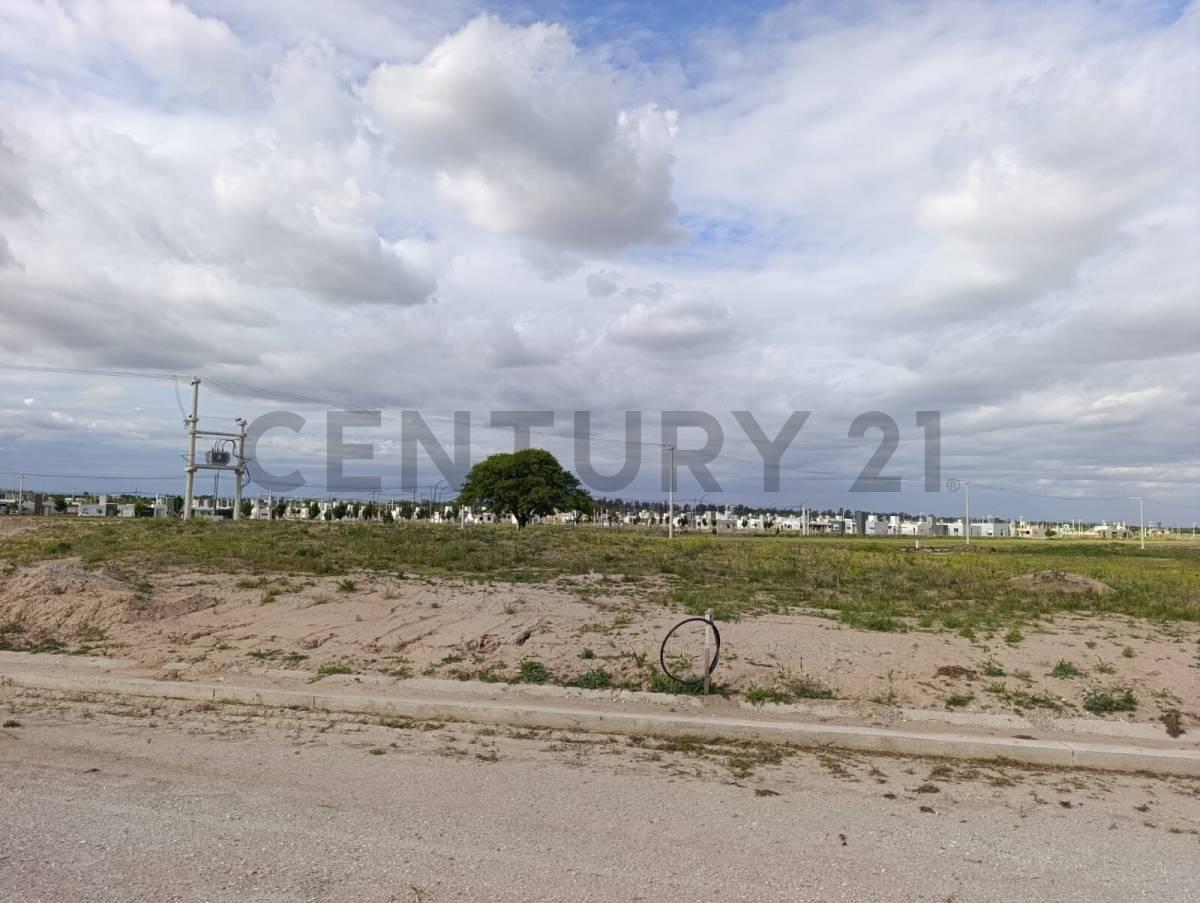 Foto de VENTA OPORTUNIDAD LOTE 600 METROS LOMAS DE LA ESTANCIA ALTA GRACIA, imagen 4