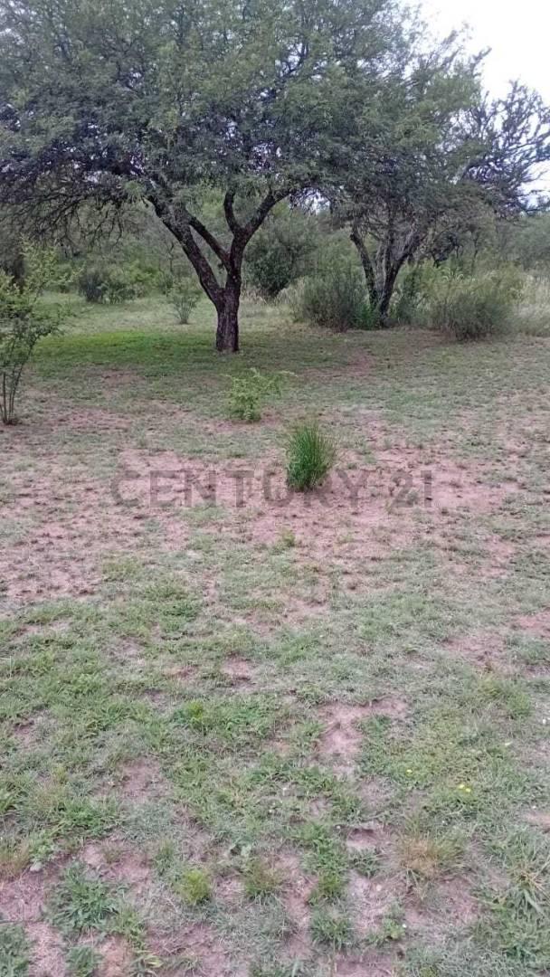Foto de VENTA LOTE EN OPORTUNIDAD SAN LORENZO VALLE TRASLASIERRAS, imagen 5