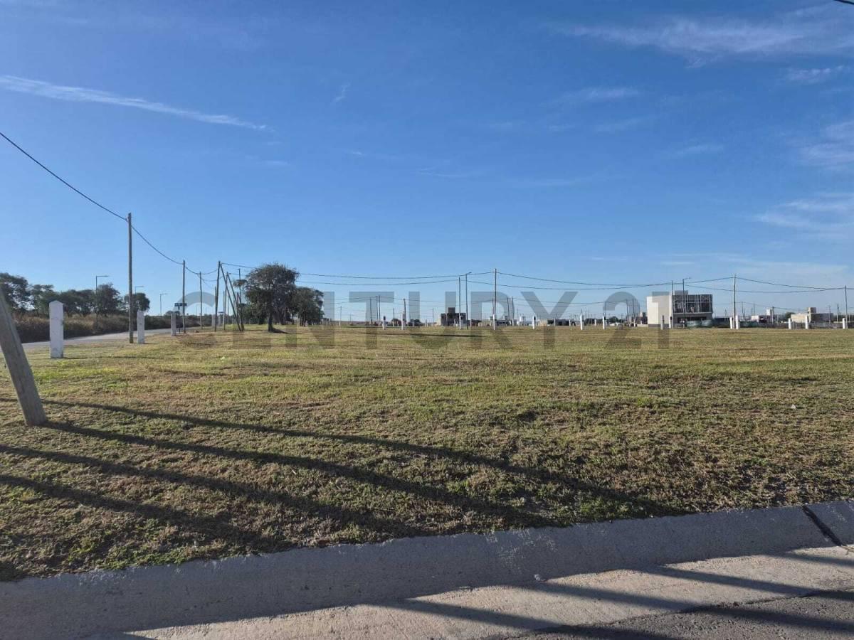 Foto de VENTA LOTE DOCTA CENTRAL RESIDENCIAL SIN POSESION, imagen 3
