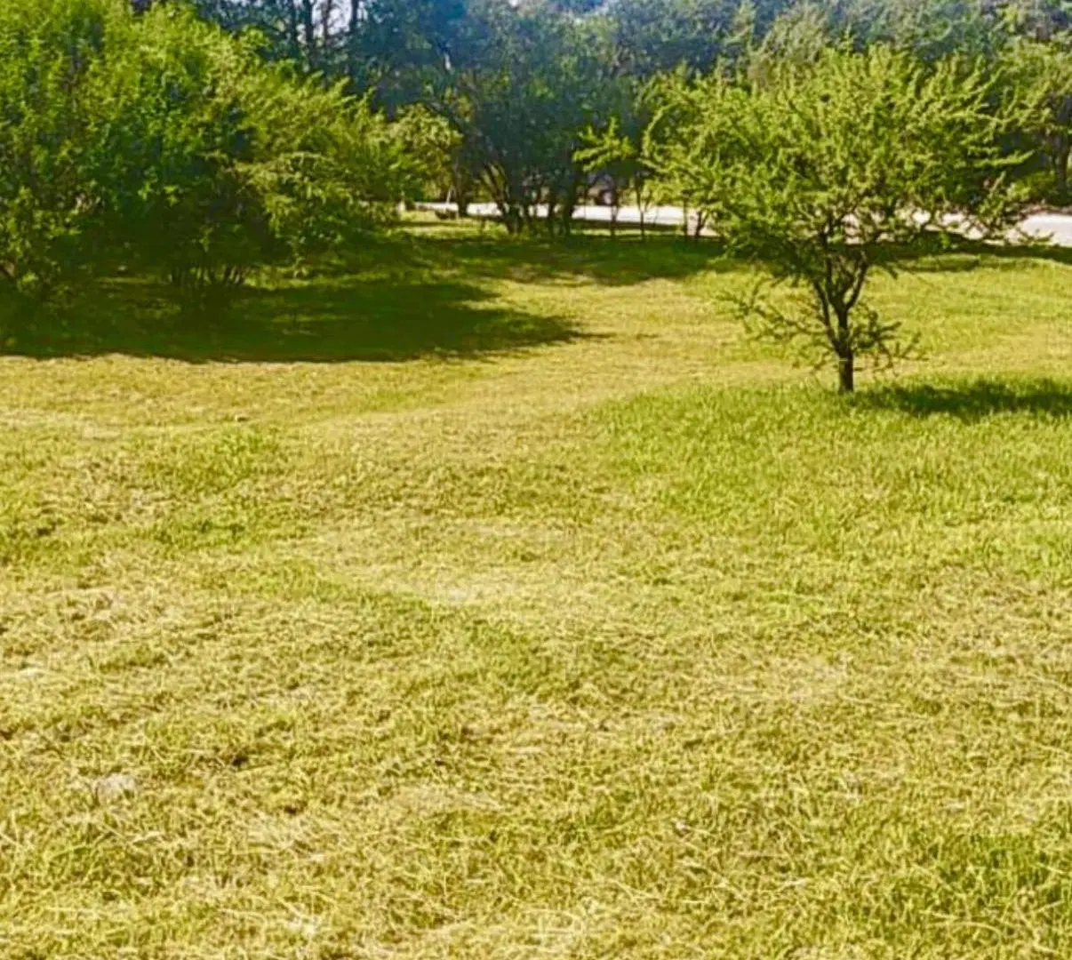 CUMBRES DEL GOLF ESPECTACULAR TERRENO 1128M2 CON VISTAS INCREIBLES. CONSULTANOS 3