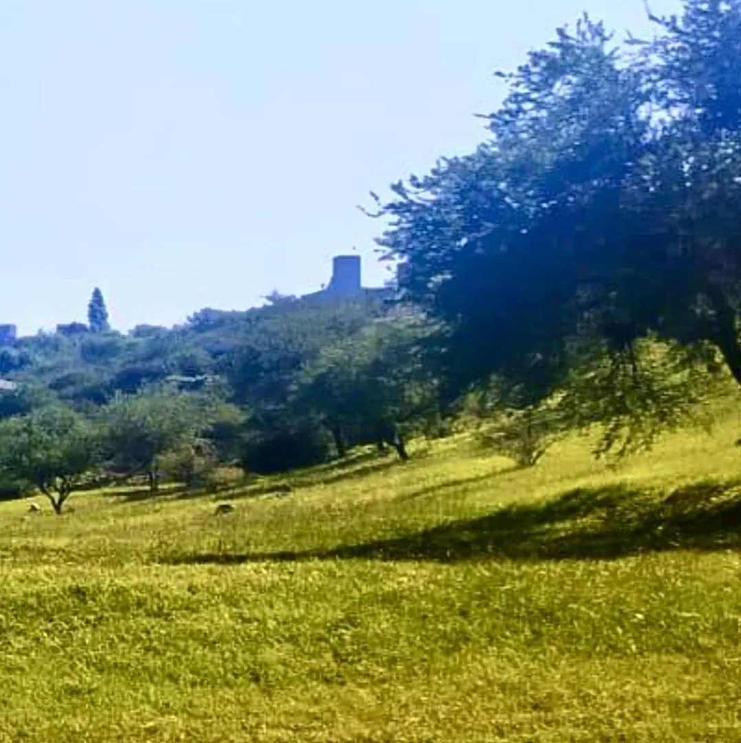 CUMBRES DEL GOLF ESPECTACULAR TERRENO 1128M2 CON VISTAS INCREIBLES. CONSULTANOS 6