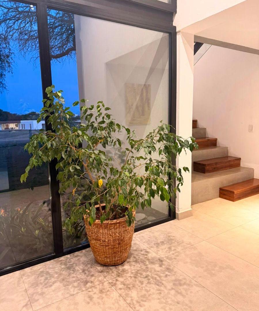 Foto de DISEÑO, VANGUARDIA Y CATEGORÍA EN VALLE DEL GOLF. MASTER SUITE EN PB, imagen 2