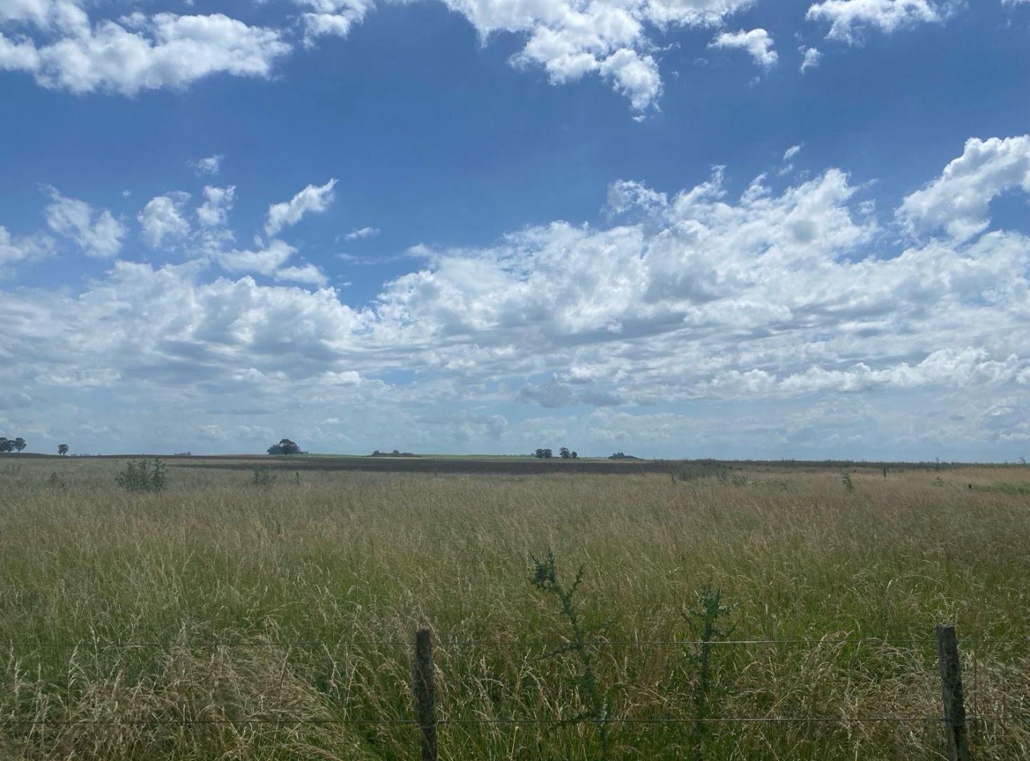 Foto de Campo - General Madariaga, imagen 3