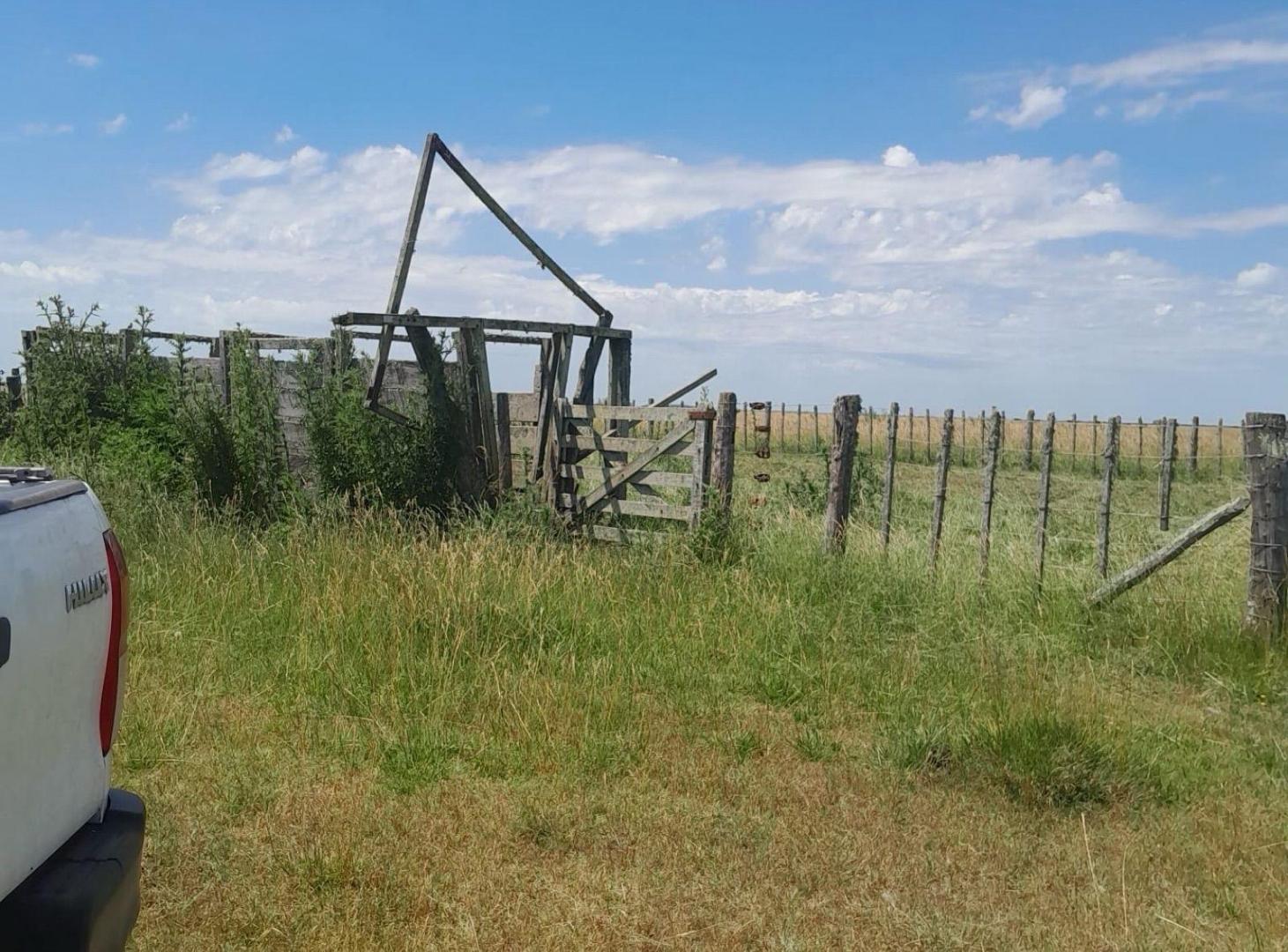 Foto de Campo - General Madariaga, imagen 5