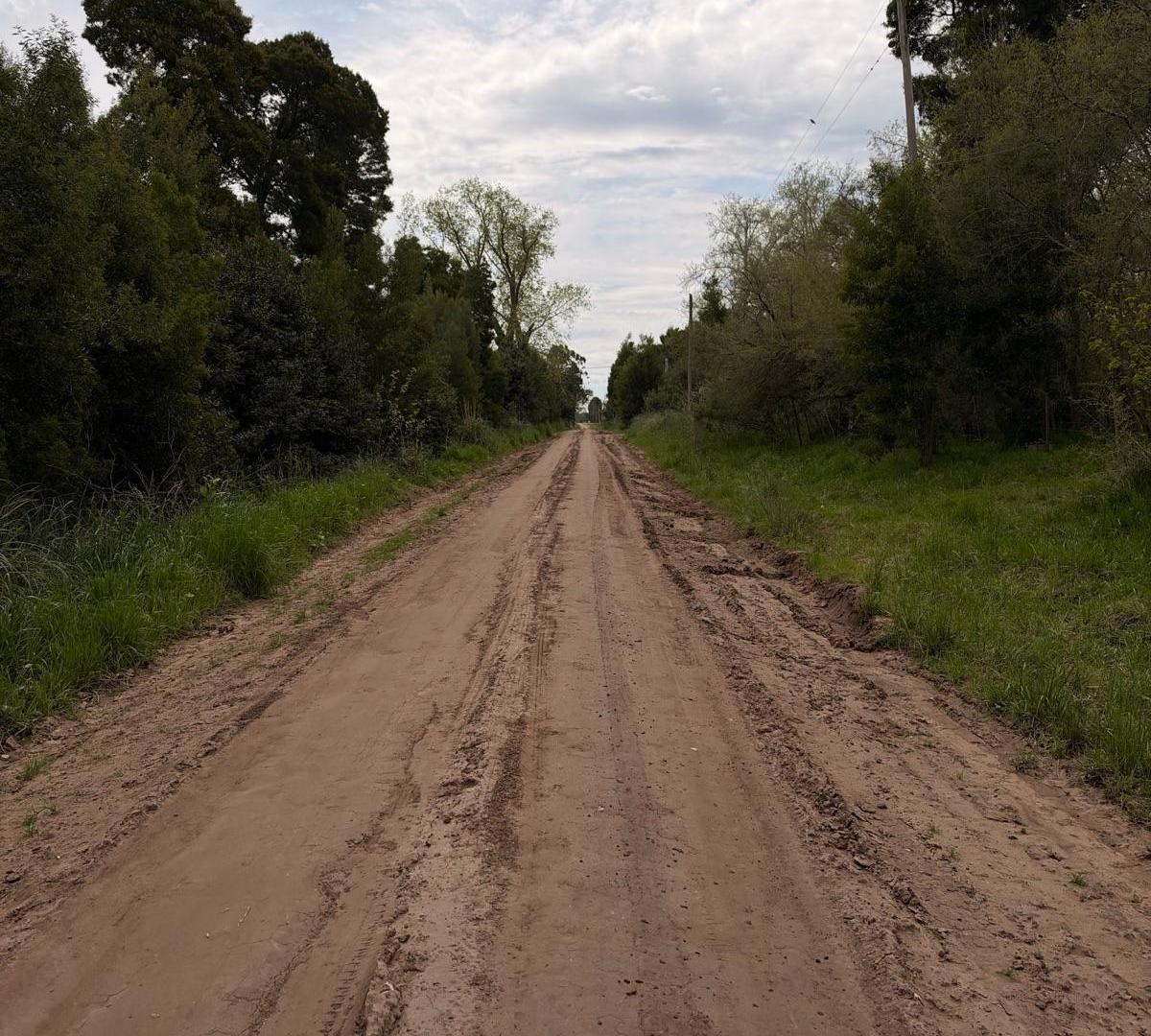 Foto de Chacra en venta General Madariaga, imagen 2