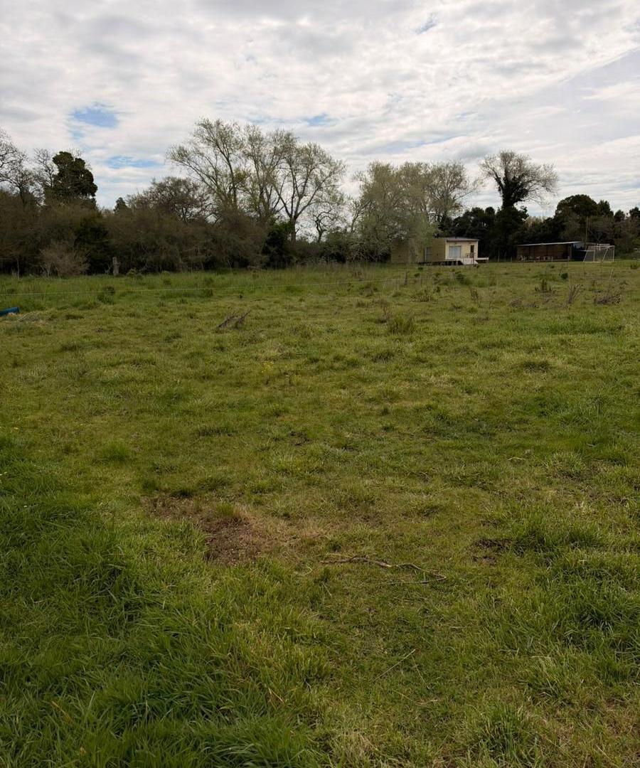 Foto de Chacra en venta General Madariaga, imagen 4