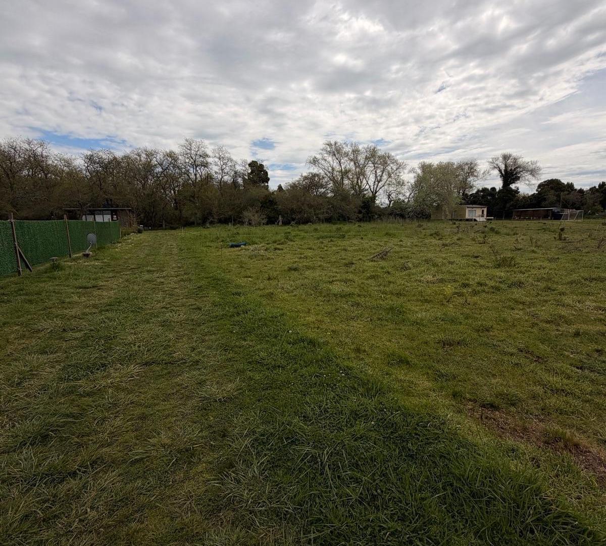 Foto de Chacra en venta General Madariaga, imagen 5