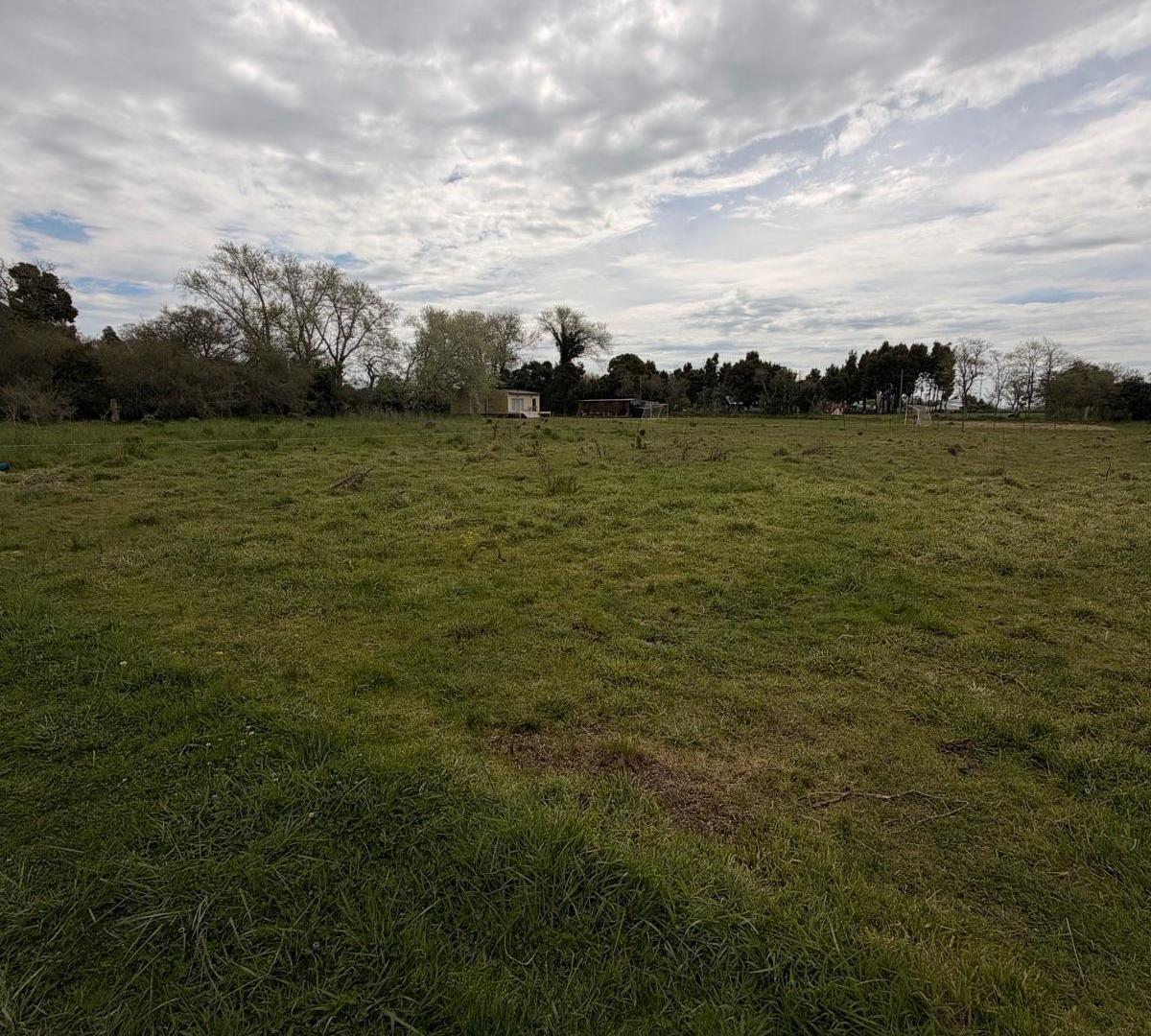Foto de Chacra en venta General Madariaga, imagen 3