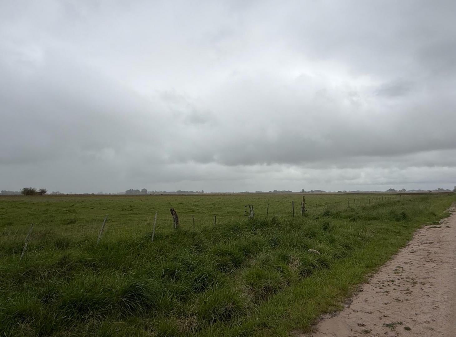 Foto de Campo - General Madariaga, imagen 2