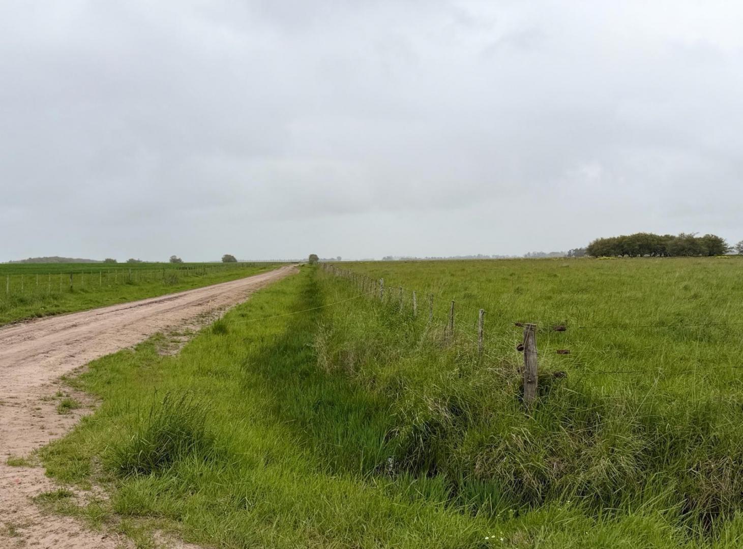 Campo - General Madariaga