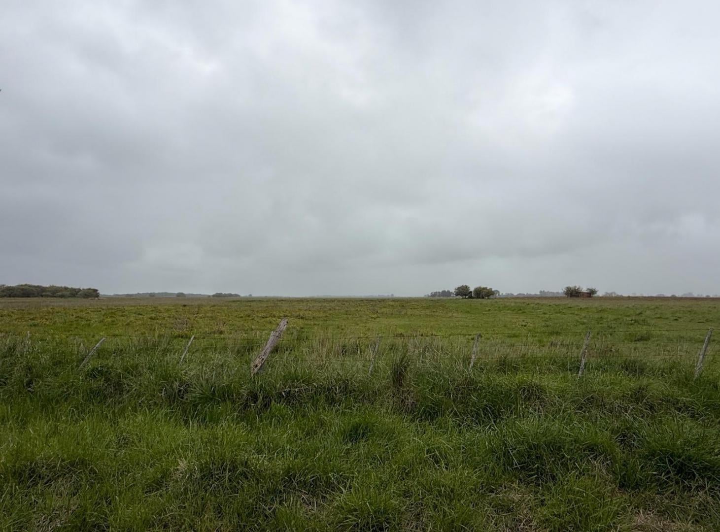 Foto de Campo - General Madariaga, imagen 4