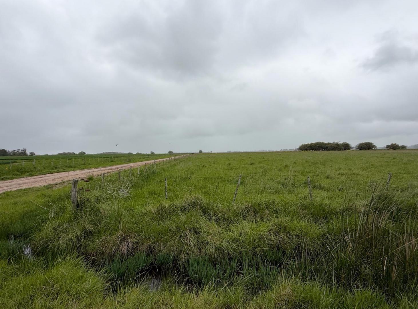 Foto de Campo - General Madariaga, imagen 3