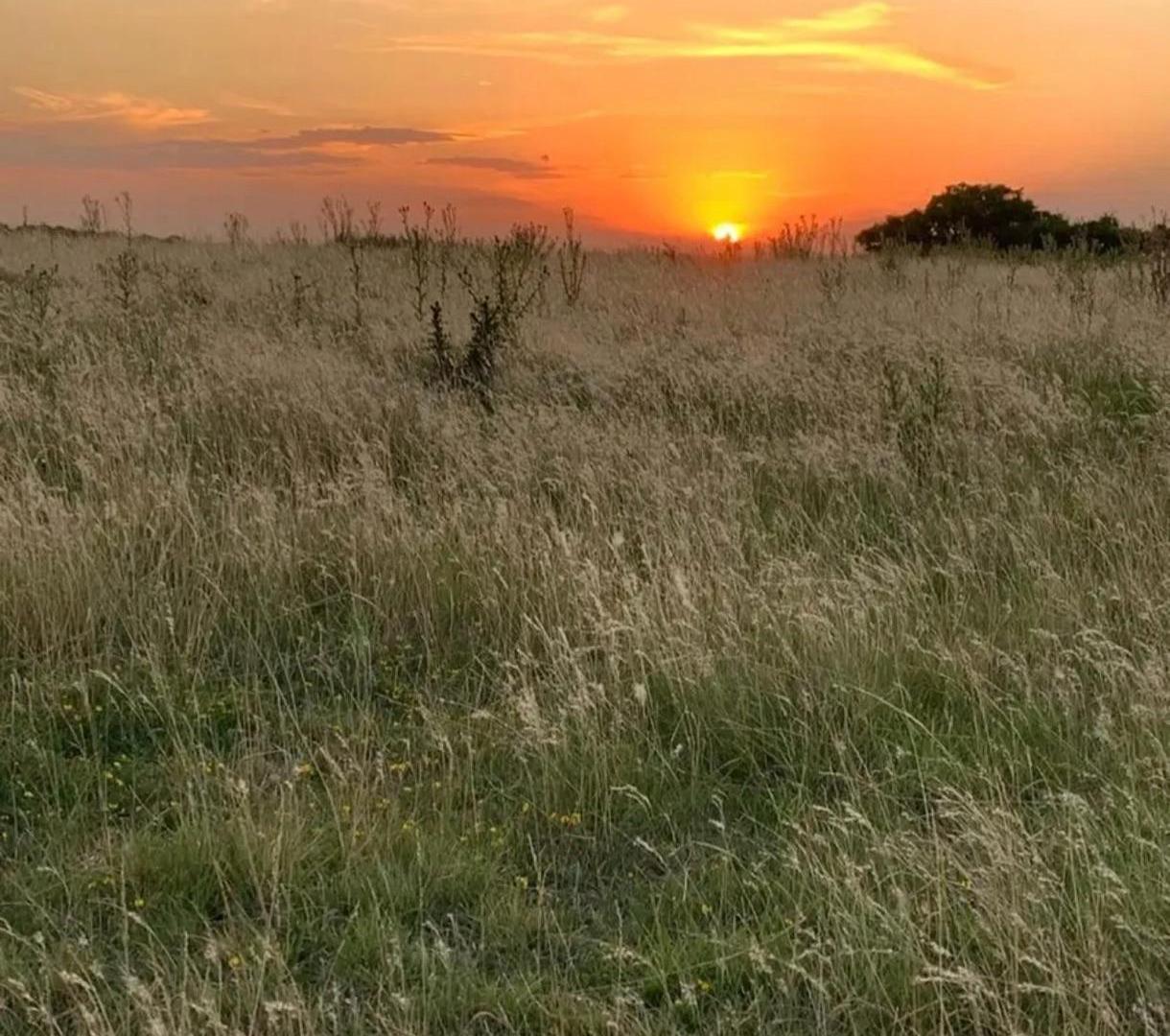 Foto de Campo - General Madariaga, imagen 1