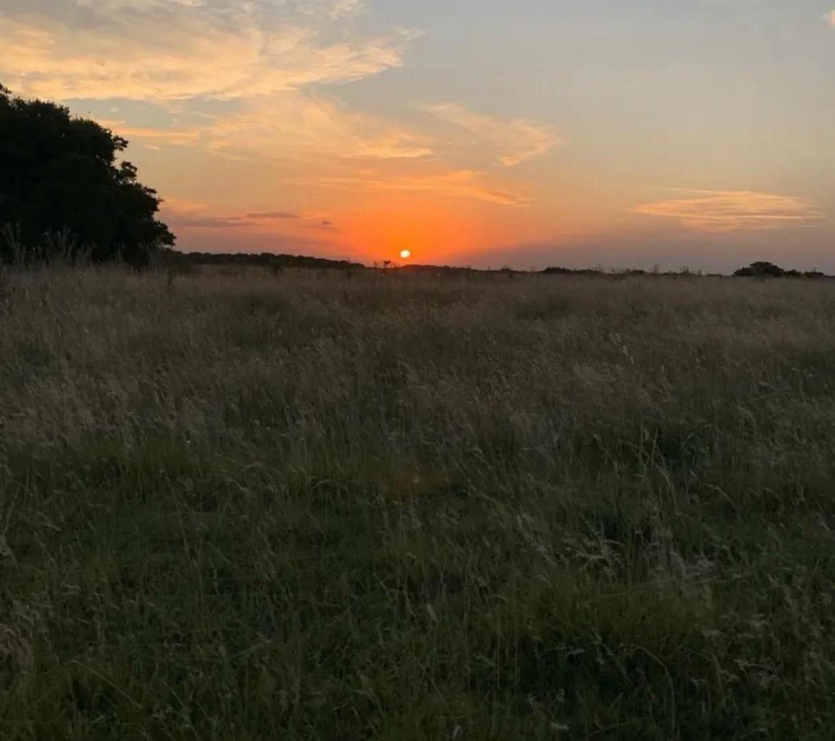 Foto de Campo - General Madariaga, imagen 2