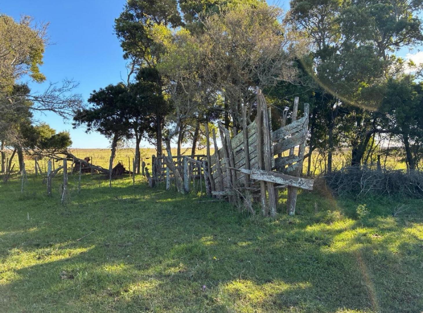 Foto de Campo - General Madariaga, imagen 2