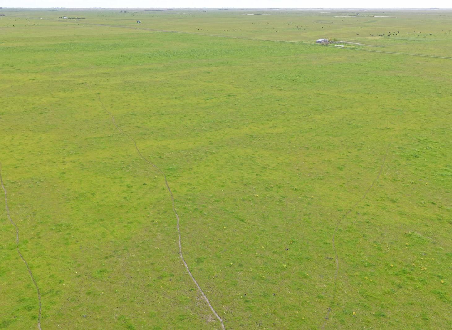 Foto de Campo - General Lavalle, imagen 5