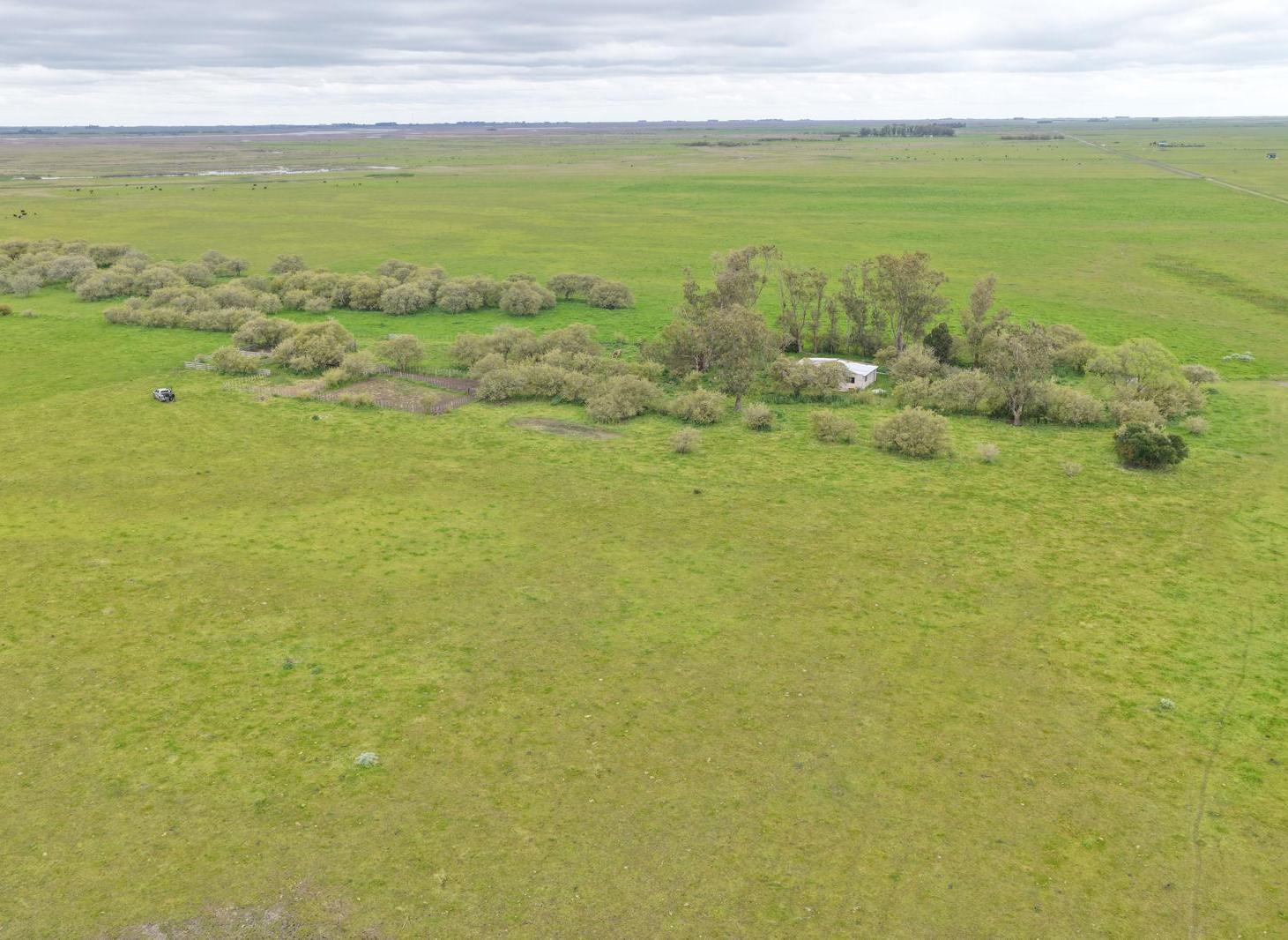 Foto de Campo - General Lavalle, imagen 4