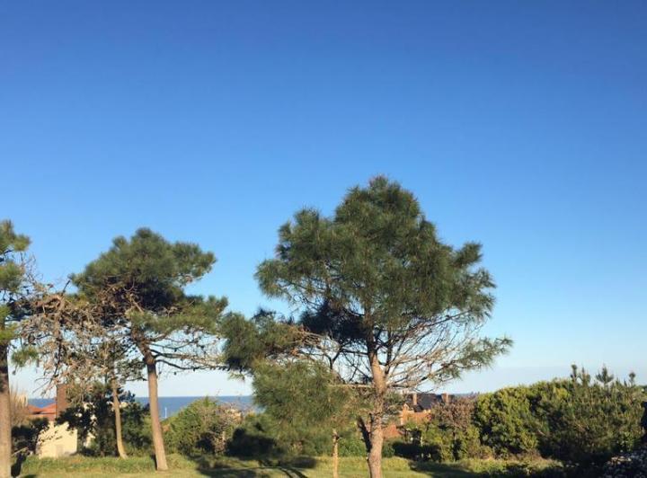 Casa en Venta y Alquiler Temporal en Pinamar Norte con vista al Mar 1