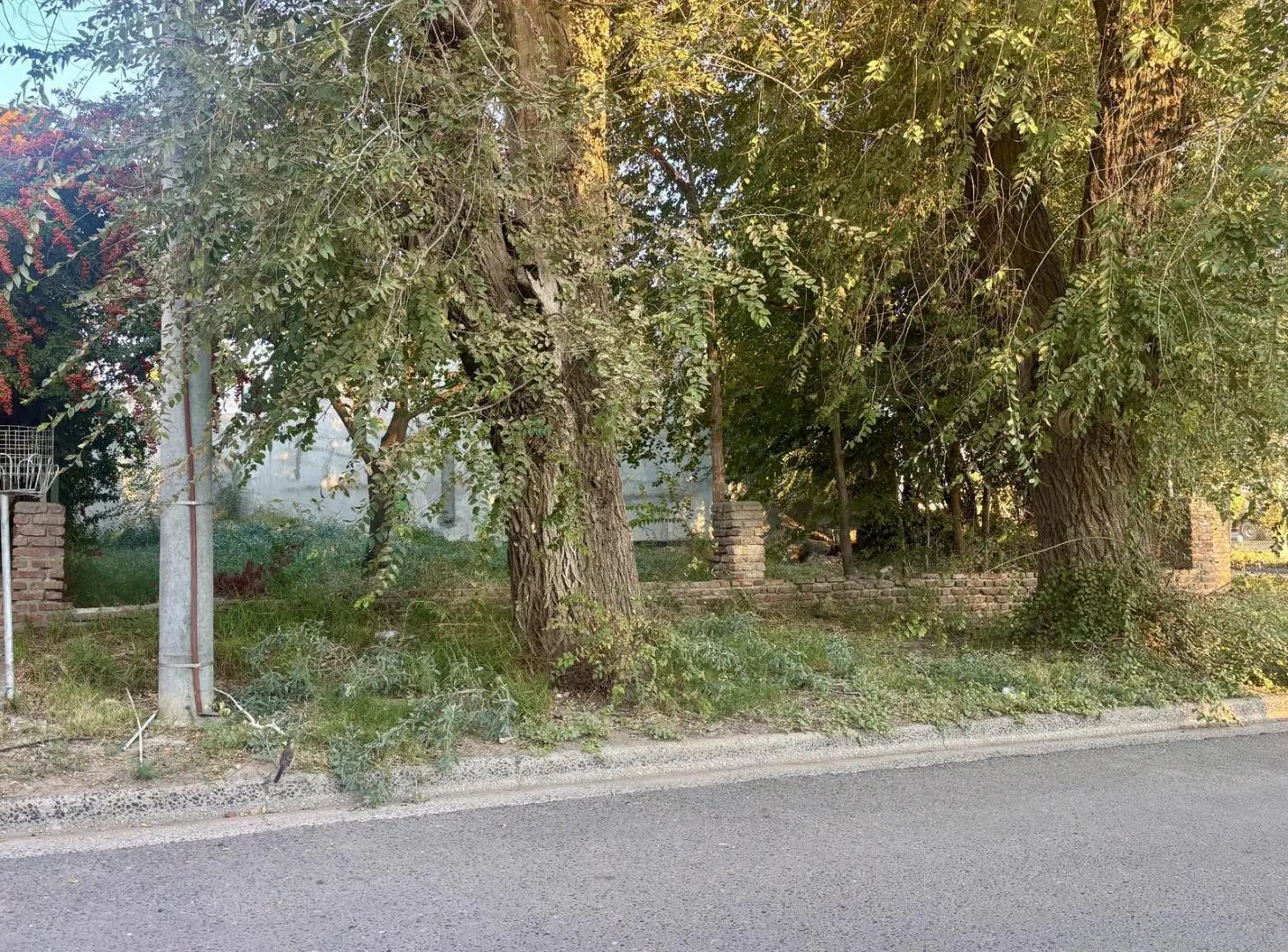 Terreno en venta barrio Belgrano 5