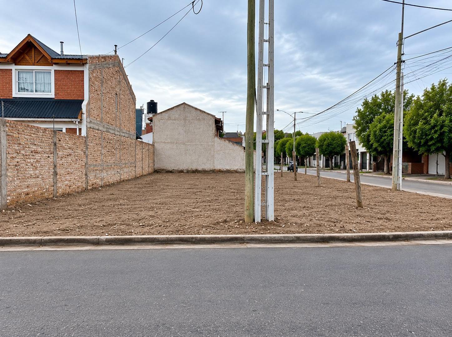 Foto de Terreno en Rincon de Emilio, imagen 1