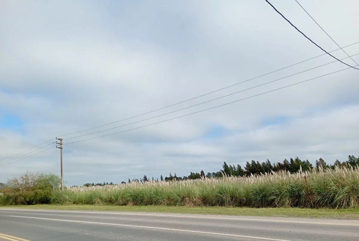 FRACCION EN ALQUILER EN ARANA DE 47.500 M2 3