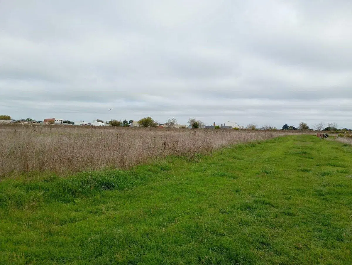 FRACCION EN ALQUILER EN ARANA 60.000 m2 2