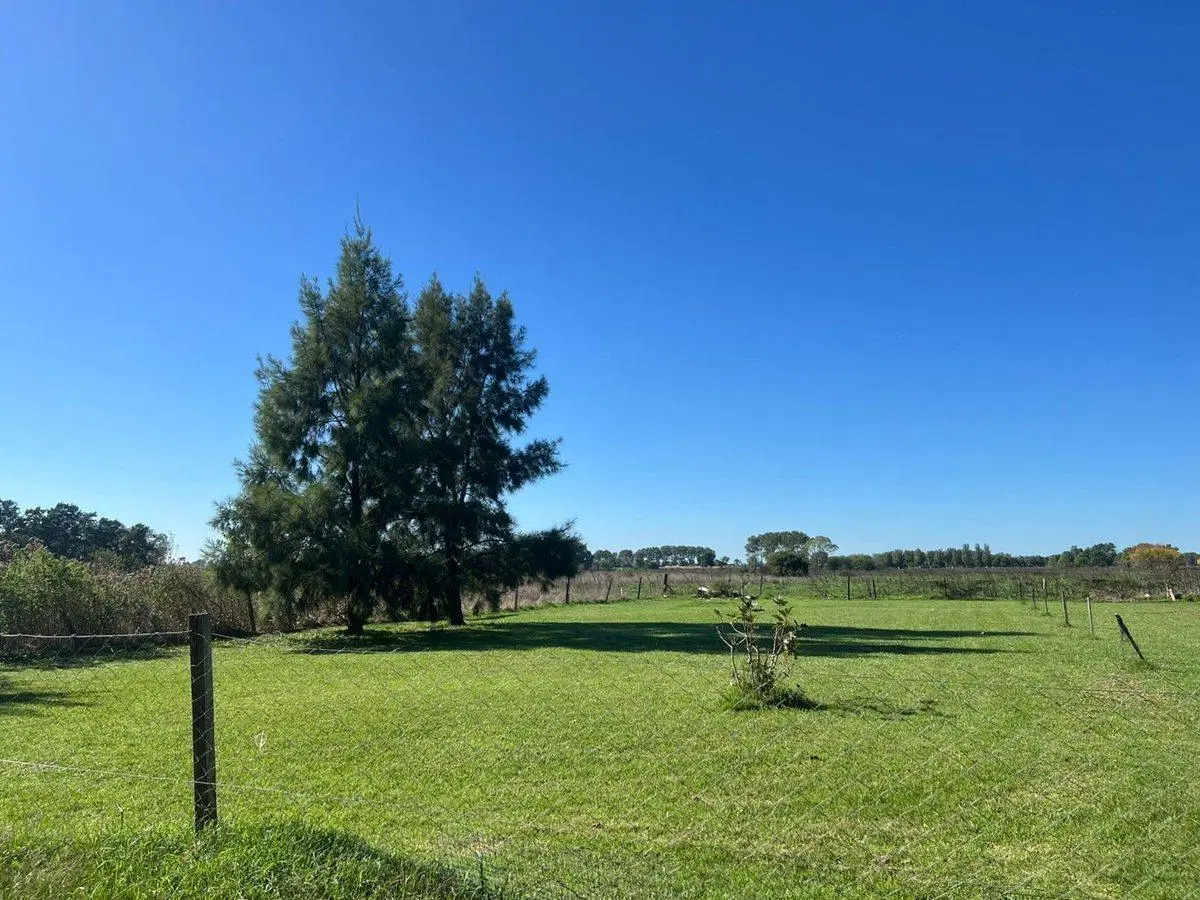 TERRENO EN VENTA EN CAÑUELAS BUENOS AIRES 5