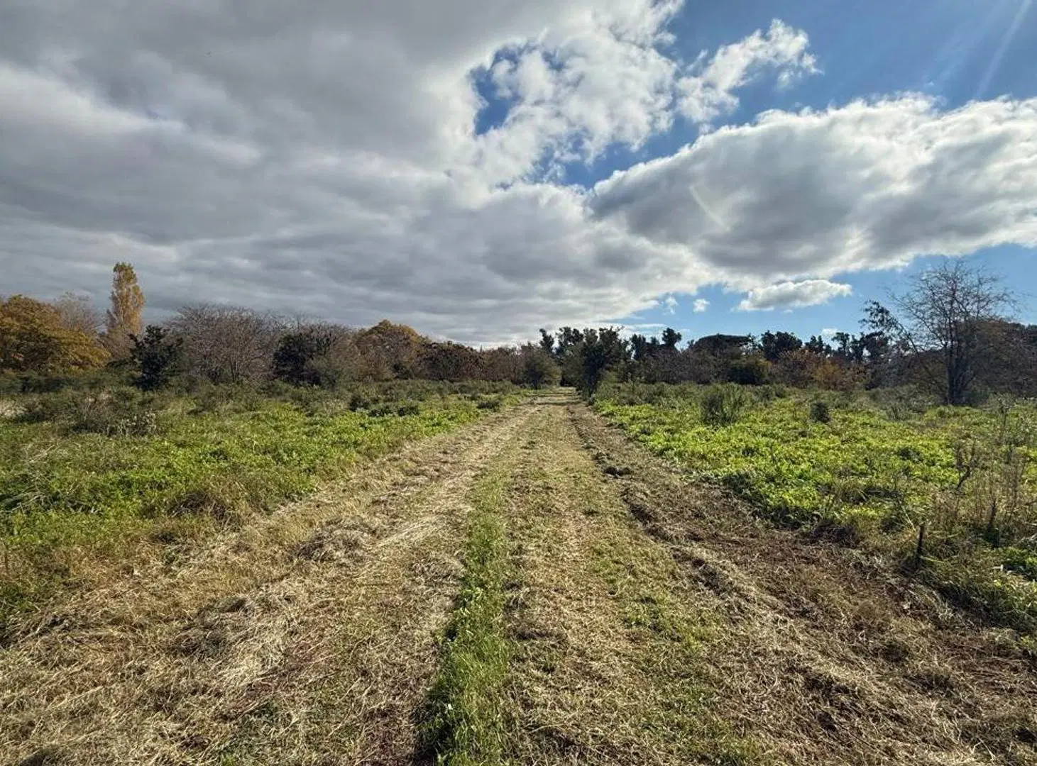 Fracción en alquiler en Villa Elisa de 22.250 m2 3