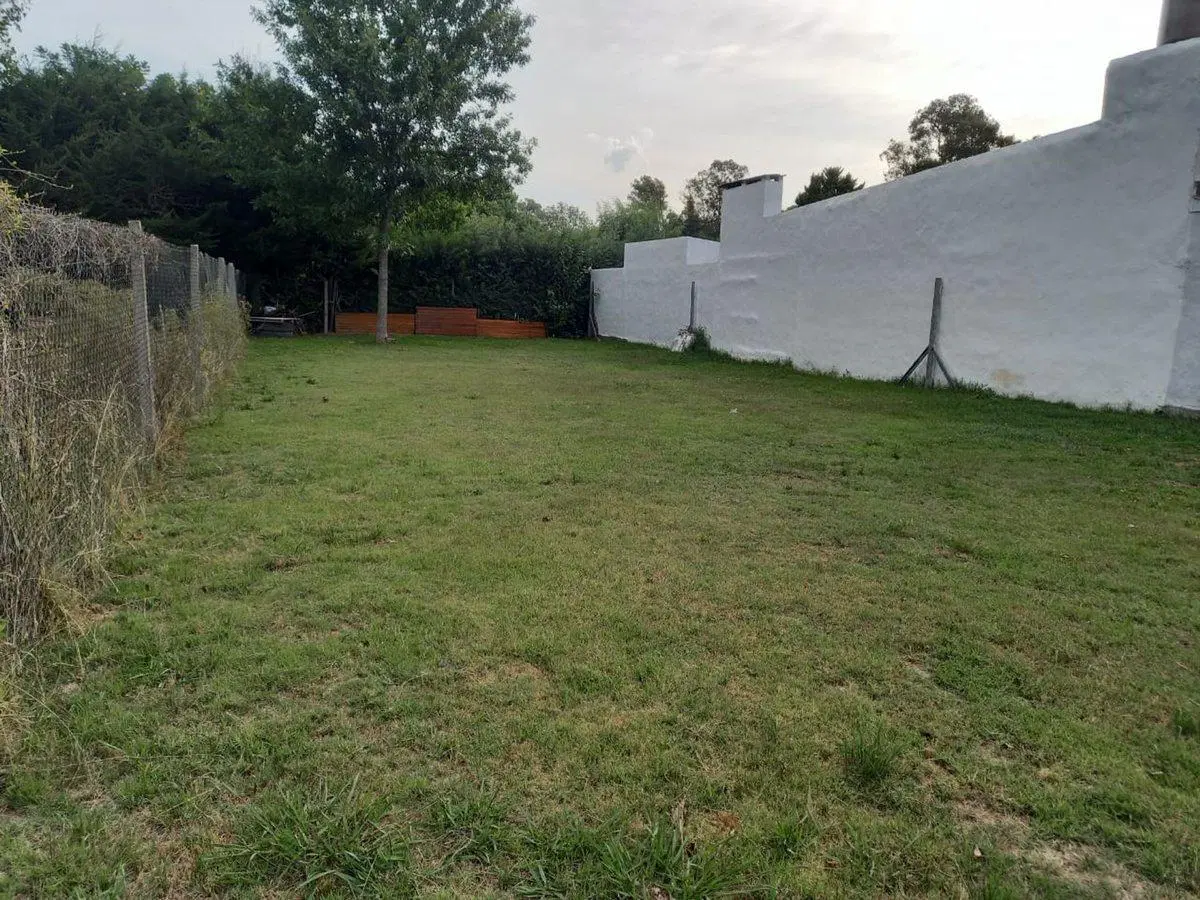 Lote en venta Lisandro Olmos 5