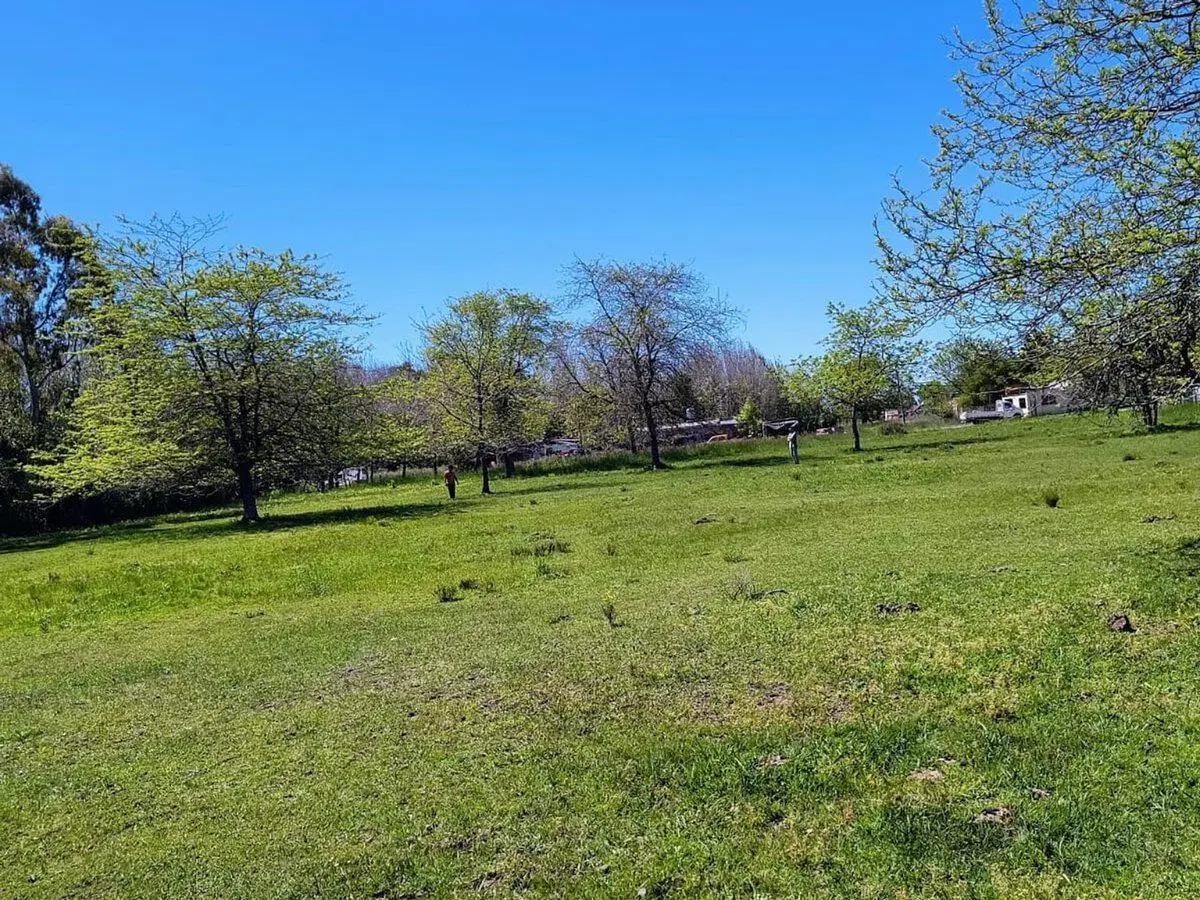 Lote en venta en Magdalena barrio Las Maytas 5