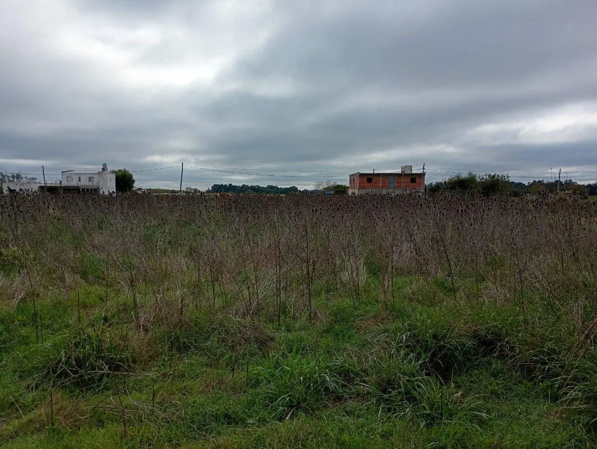 FRACCION EN ALQUILER EN ARANA 60.000 m2 2