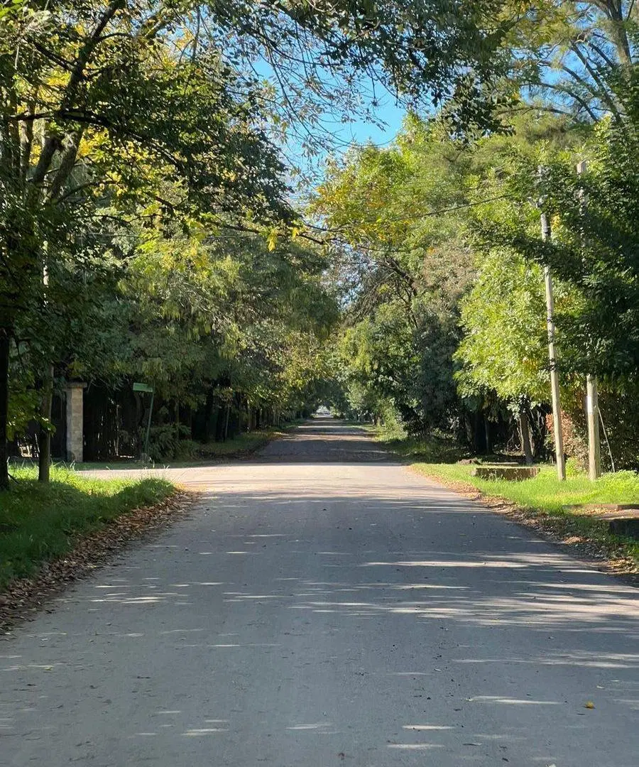 TERRENO EN VENTA EN CAÑUELAS BUENOS AIRES 4