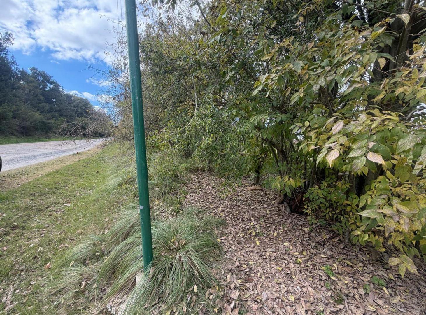 Foto de Fracción en alquiler en Villa Elisa de 22.250 m2, imagen 1