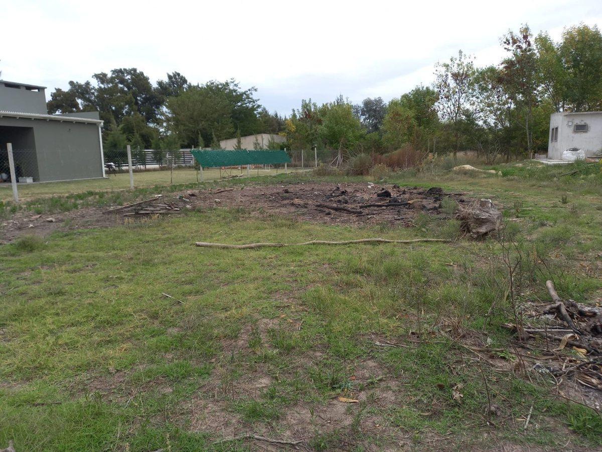 Foto de Terreno en venta en Los Naranjos Magdalena, imagen 2