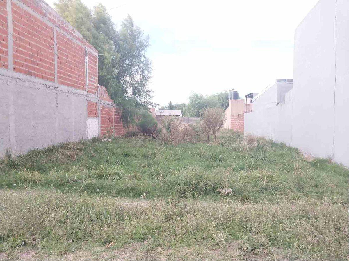 Foto de Terreno en venta en Magdalena, sobre asfalto., imagen 5