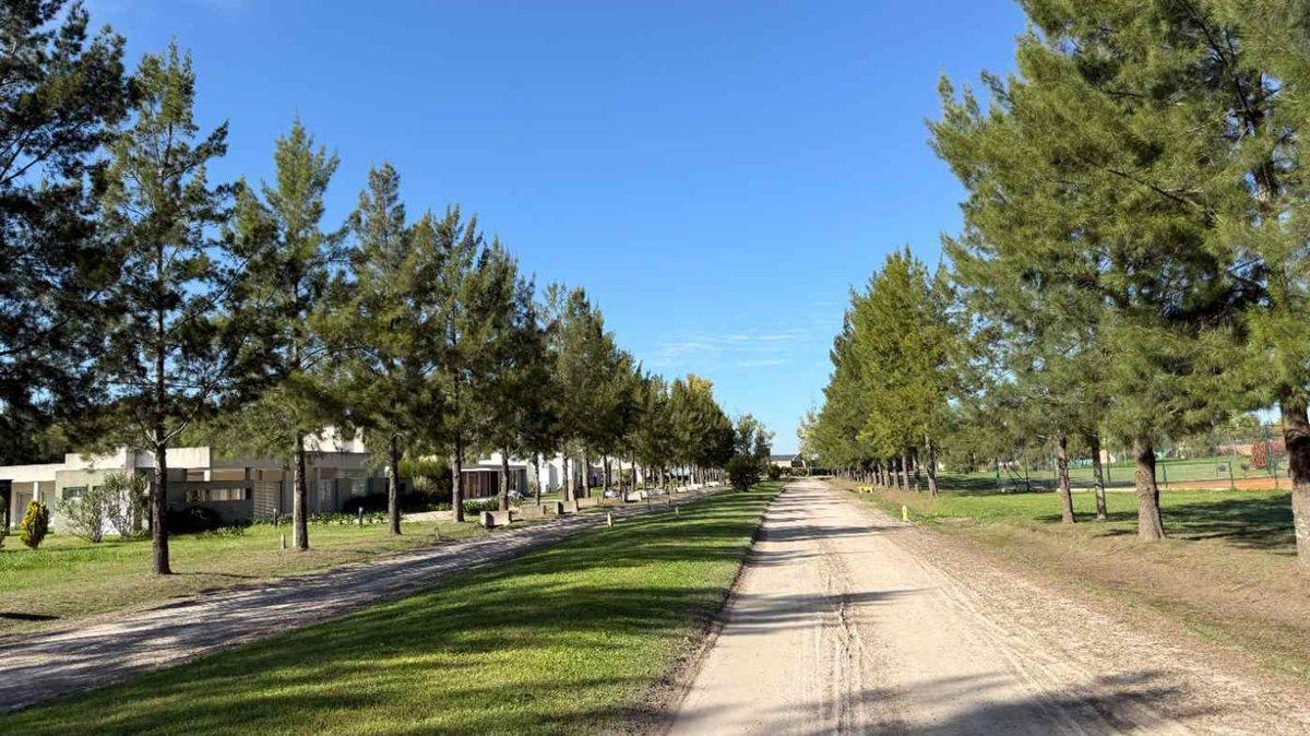 Foto de LOTE EN VENTA EN CAMPOS DE ROCA II BRADNSEN, imagen 1