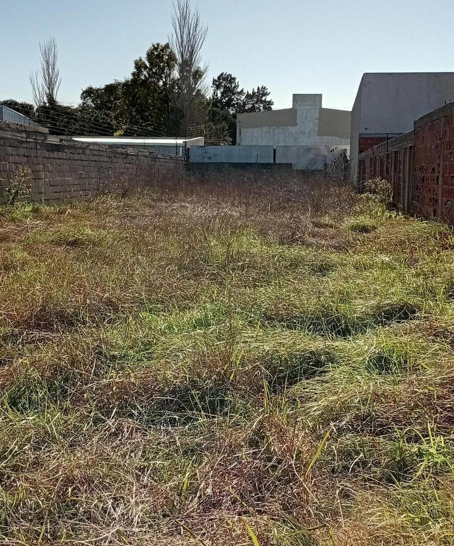 Foto de LOTE EN VENTA BARRIO SAN CARLOS, imagen 3