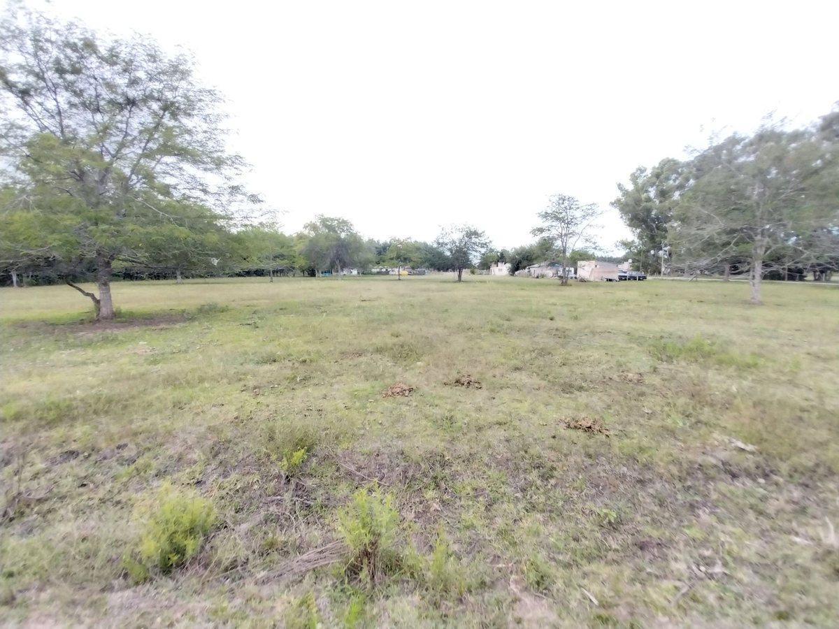 Foto de Lote en venta en Magdalena barrio Las Maytas, imagen 5