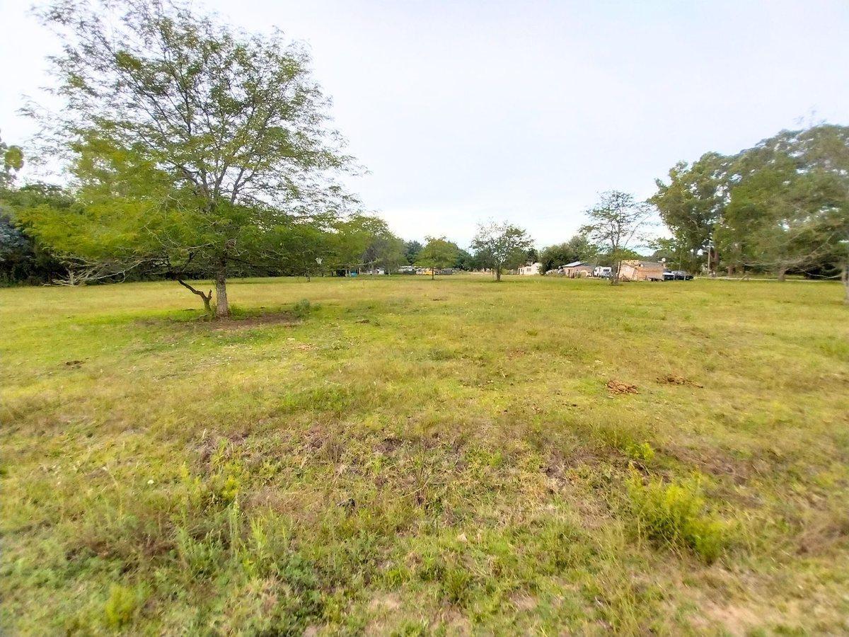 Foto de Lote en venta en Magdalena barrio Las Maytas, imagen 3