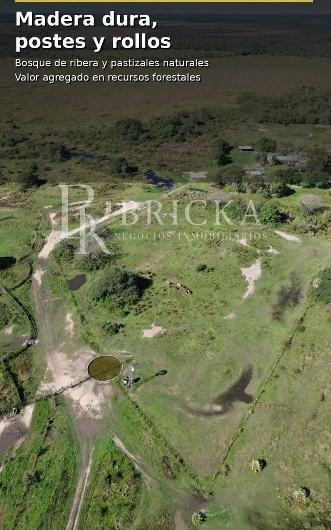 Campo en General San Martin Chaco 4